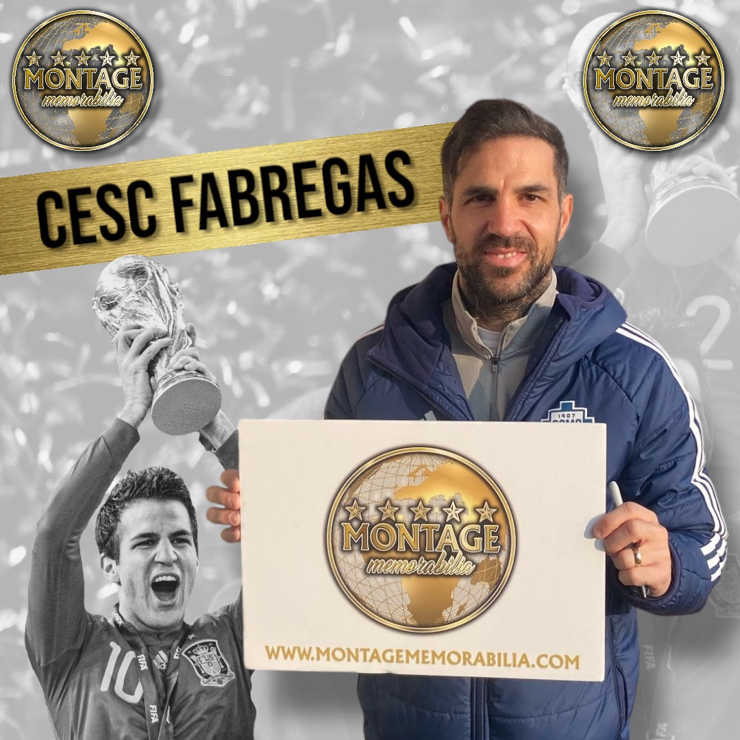 CESC FABREGAS SIGNED SPAIN WORLD CUP WIN 2010 AWAY SHIRT (ACG CERT AG17282)