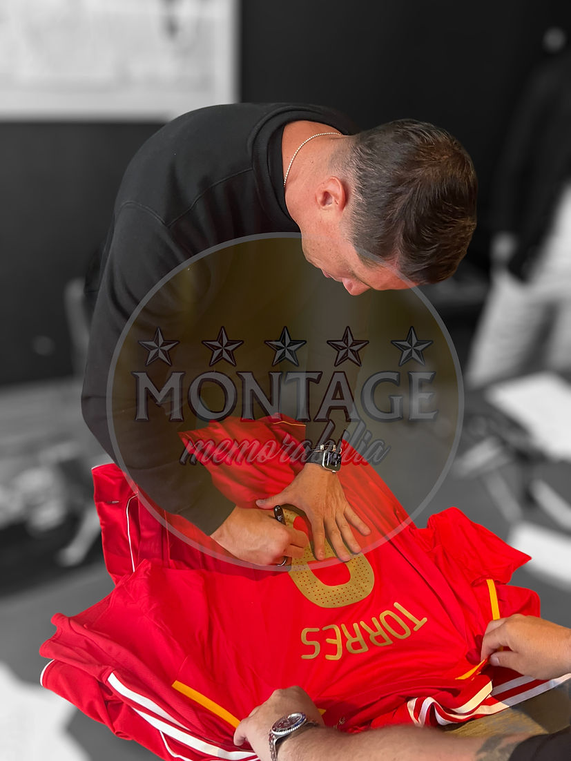 FERNANDO TORRES SIGNED SPAIN EURO 2008 WINNERS HOME SHIRT (ACG CERT AG17246)