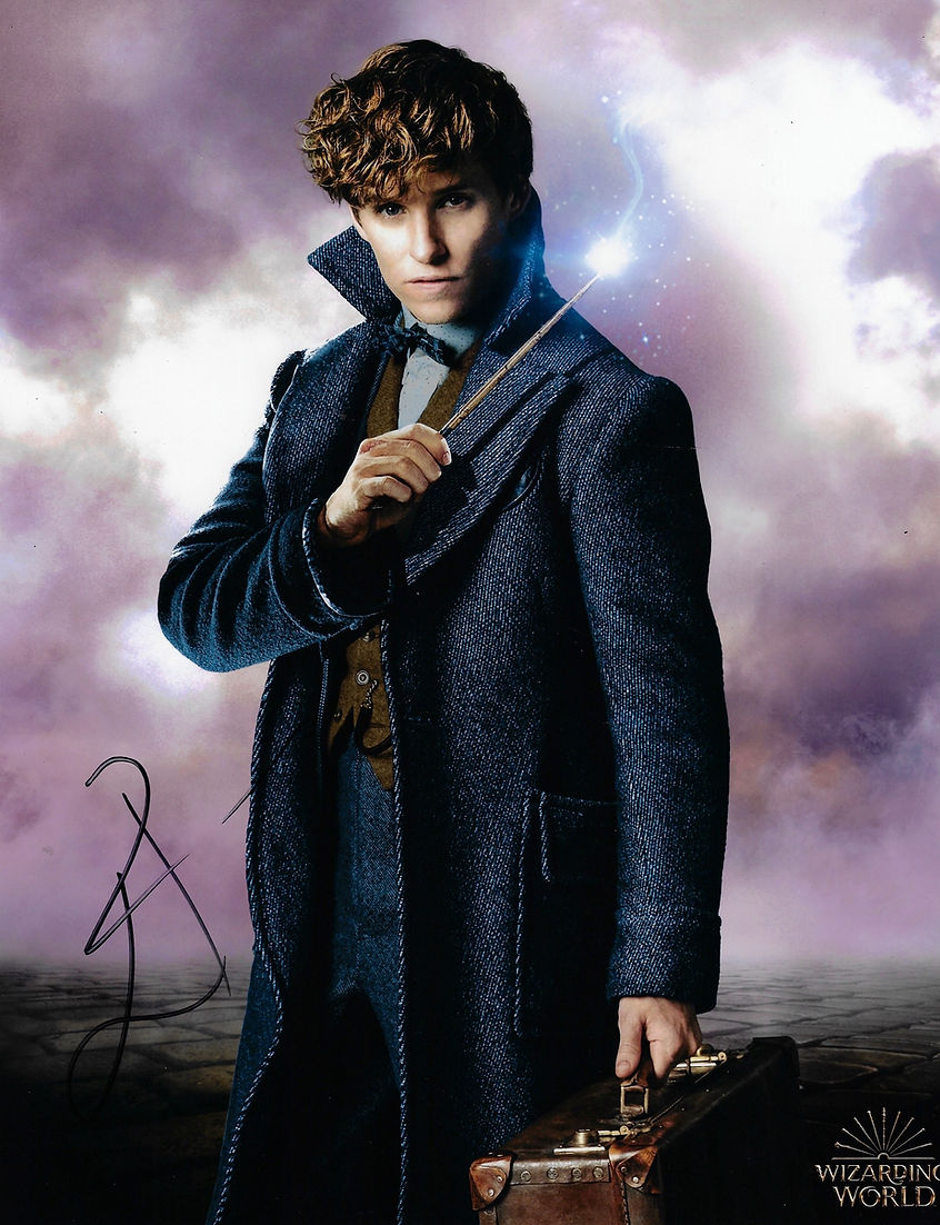 EDDIE REDMAYNE SIGNED WIZARDING WORLD 14x11 PHOTO (AFTAL COA)