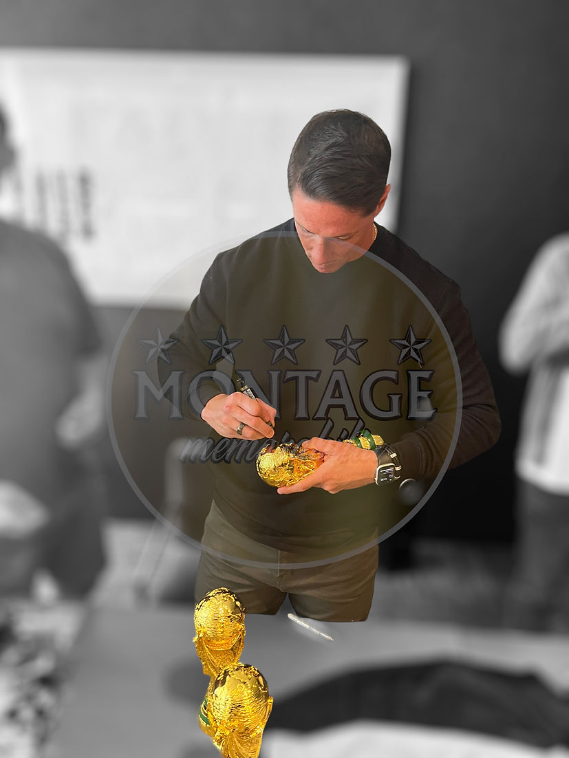 FERNANDO TORRES SIGNED MINI 27CM WORLD CUP REPLICA SPAIN 2010 (AFTAL COA)