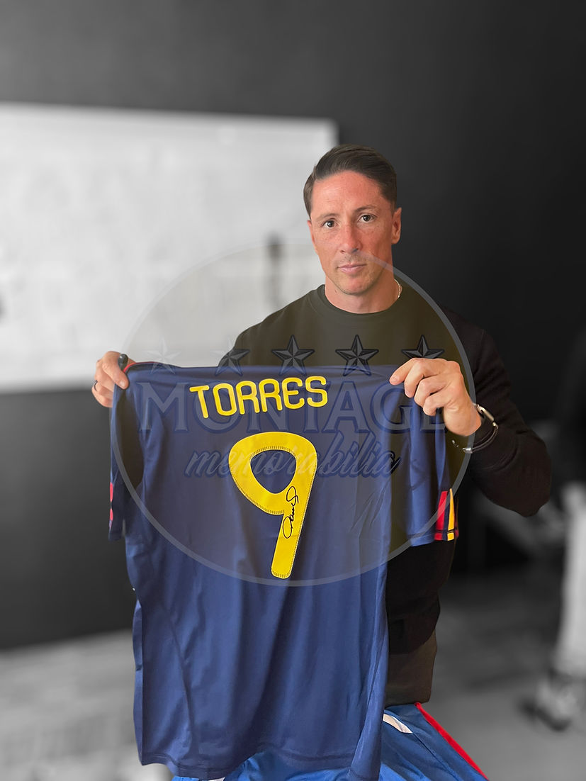 FERNANDO TORRES SIGNED SPAIN 2010 WORLD CUP WINNERS SHIRT (ACG CERT AG17245)
