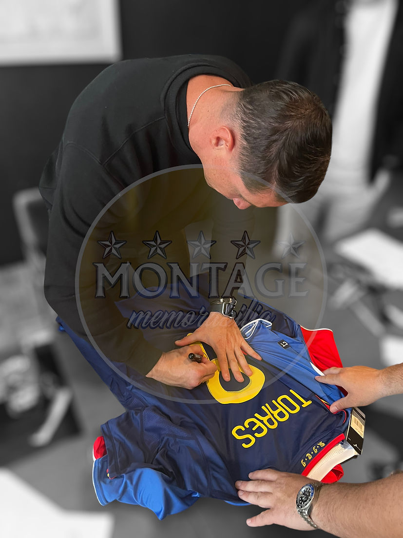 FERNANDO TORRES SIGNED SPAIN 2010 WORLD CUP WINNERS SHIRT (ACG CERT AG17245)