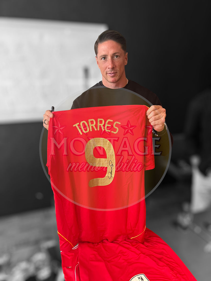 FERNANDO TORRES SIGNED SPAIN EURO 2008 WINNERS HOME SHIRT (ACG CERT AG17246)