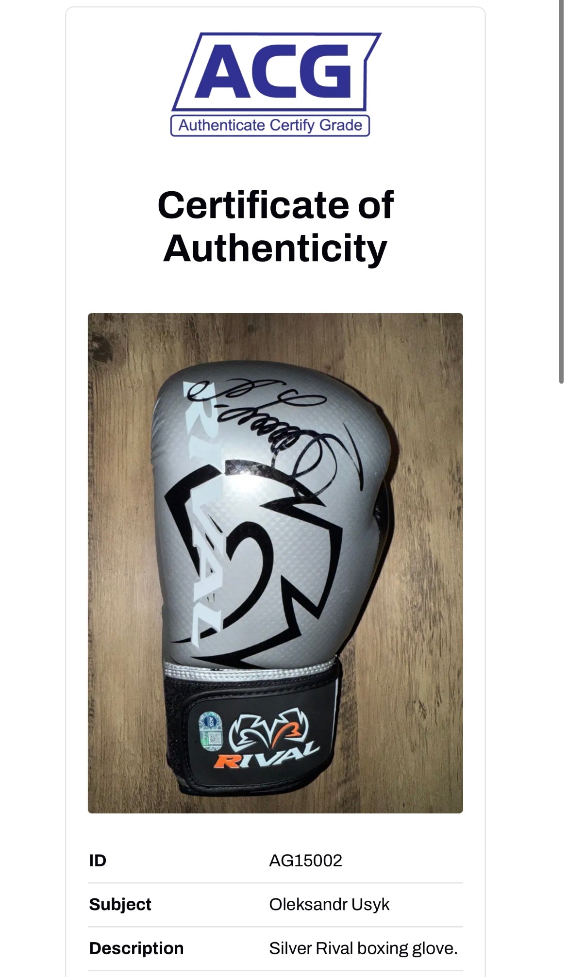 OLEKSANDR USYK SIGNED RIVAL SILVER BOXING GLOVE (ACG AG15002)
