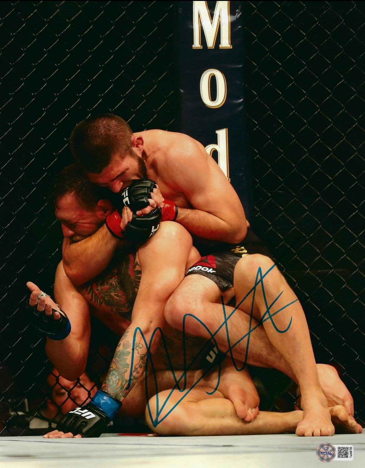KHABIB NURMAGOMEDOV SIGNED UFC 14x11 PHOTO (AFTAL AUTHENTICATION) 2
