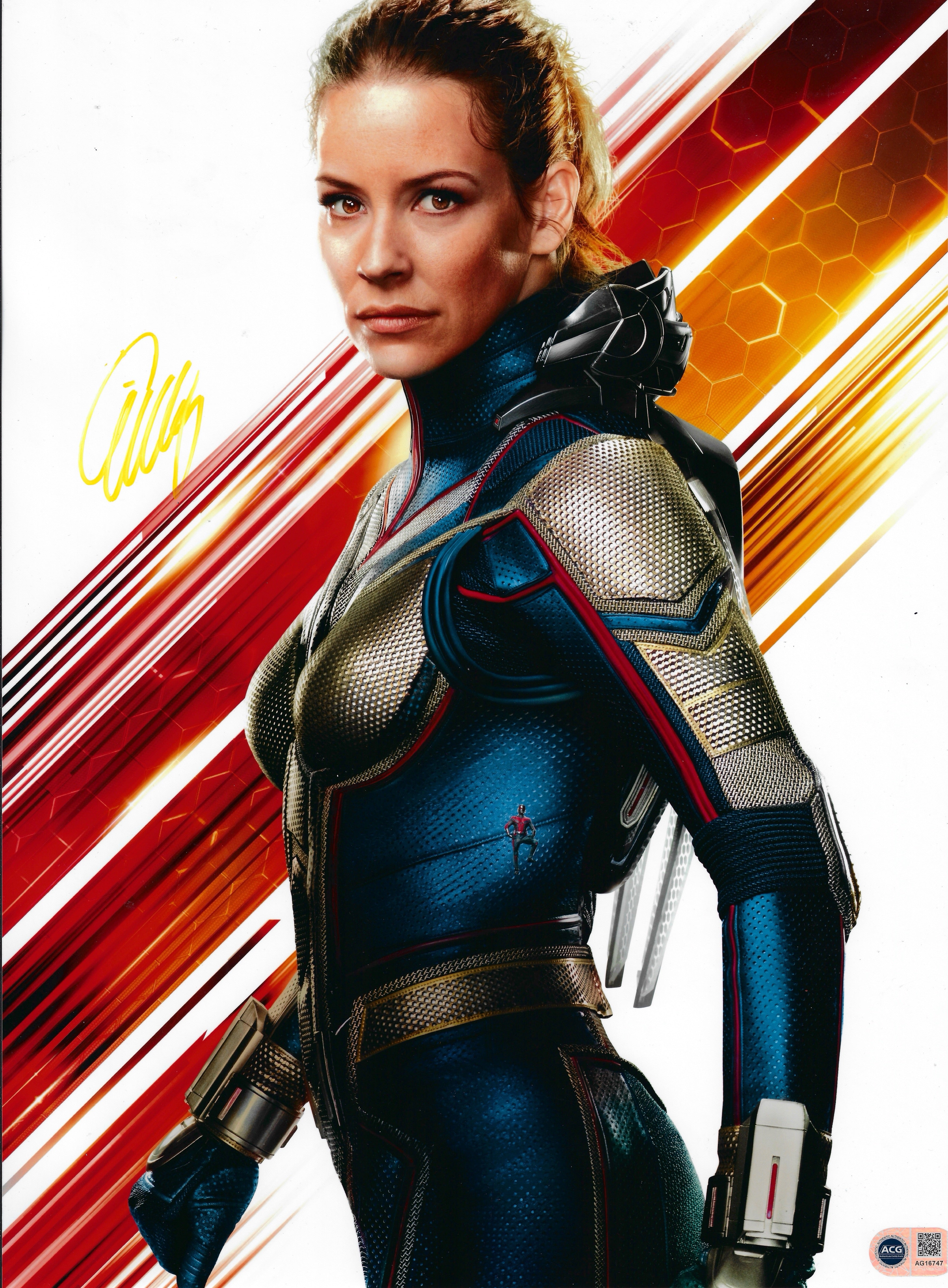 EVANGELINE LILLY SIGNED ANT MAN AND THE WASP 16x12 PHOTO (ACG CERT AG16747)