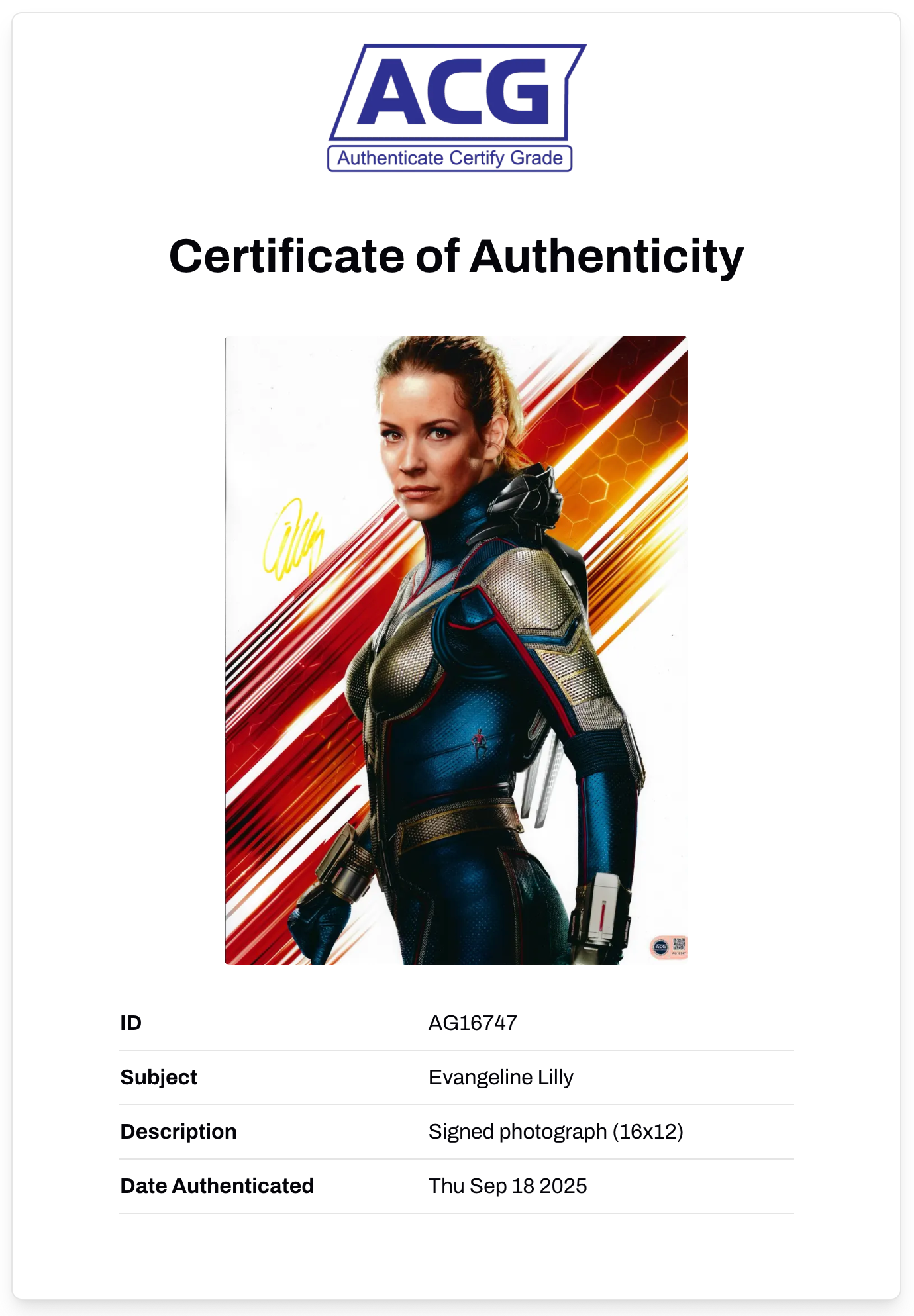 EVANGELINE LILLY SIGNED ANT MAN AND THE WASP 16x12 PHOTO (ACG CERT AG16747)