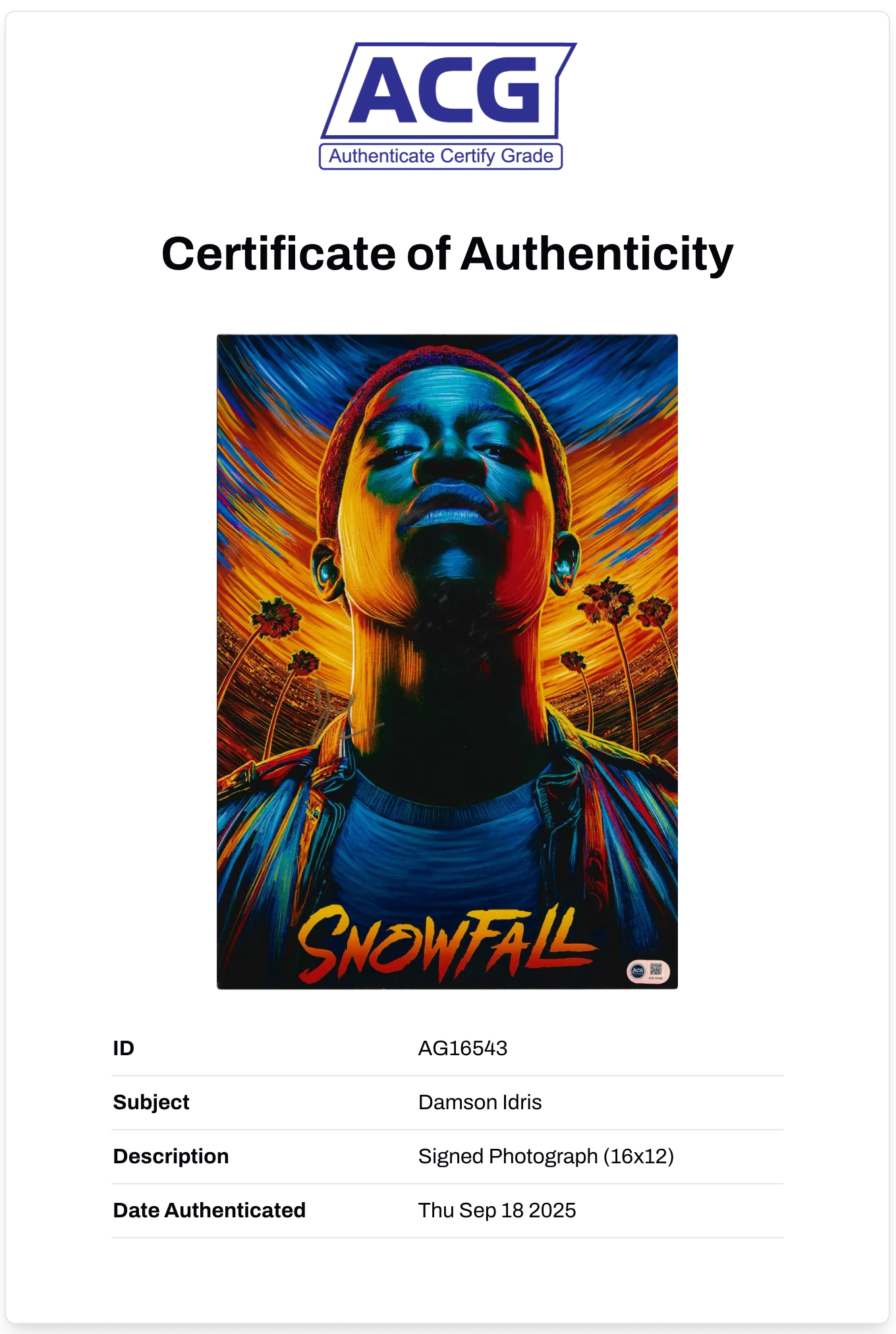 DAMSON IDRIS SIGNED SNOWFALL 16x12 PHOTO (ACG CERT AG16543)