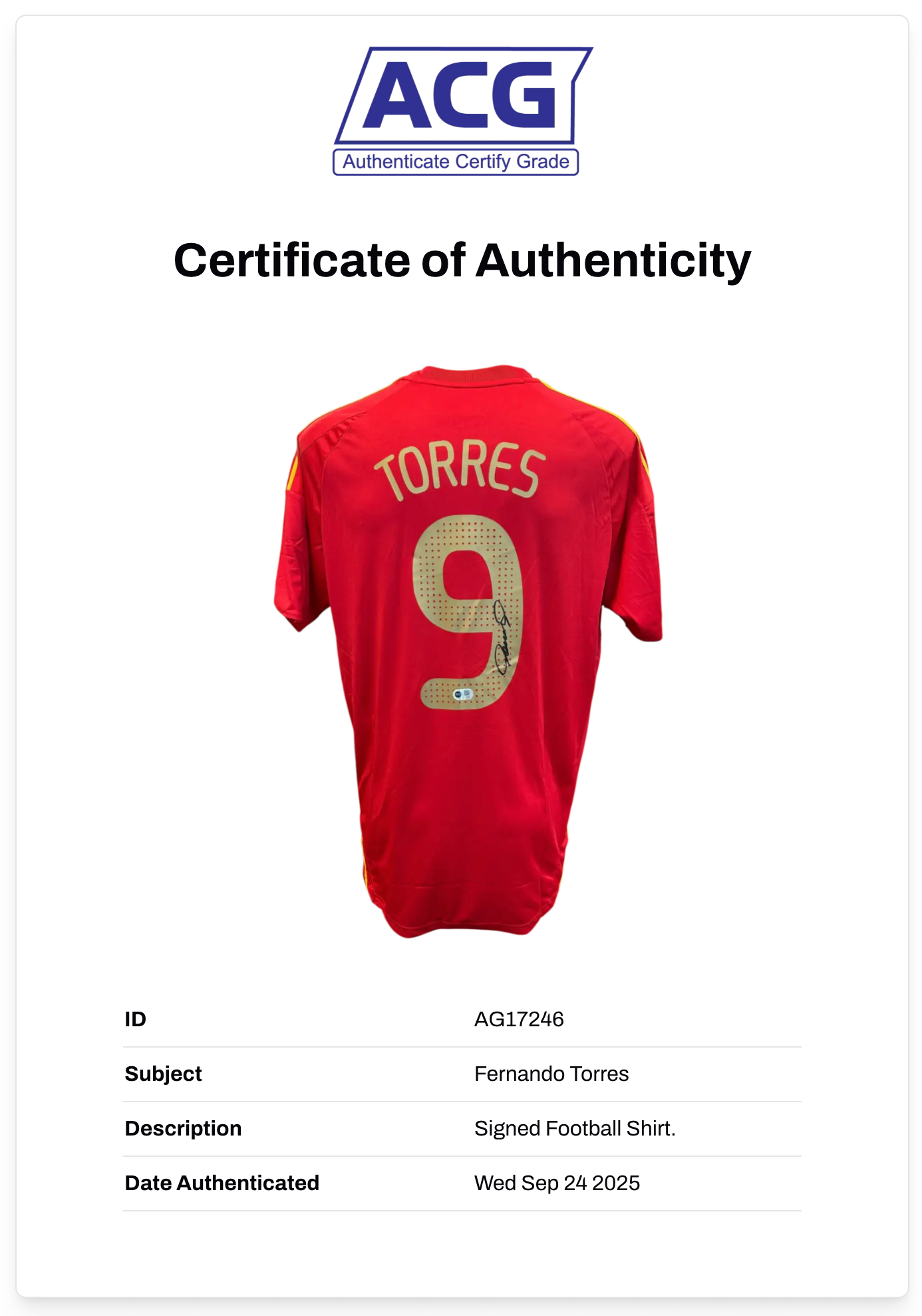 FERNANDO TORRES SIGNED SPAIN EURO 2008 WINNERS HOME SHIRT (ACG CERT AG17246)