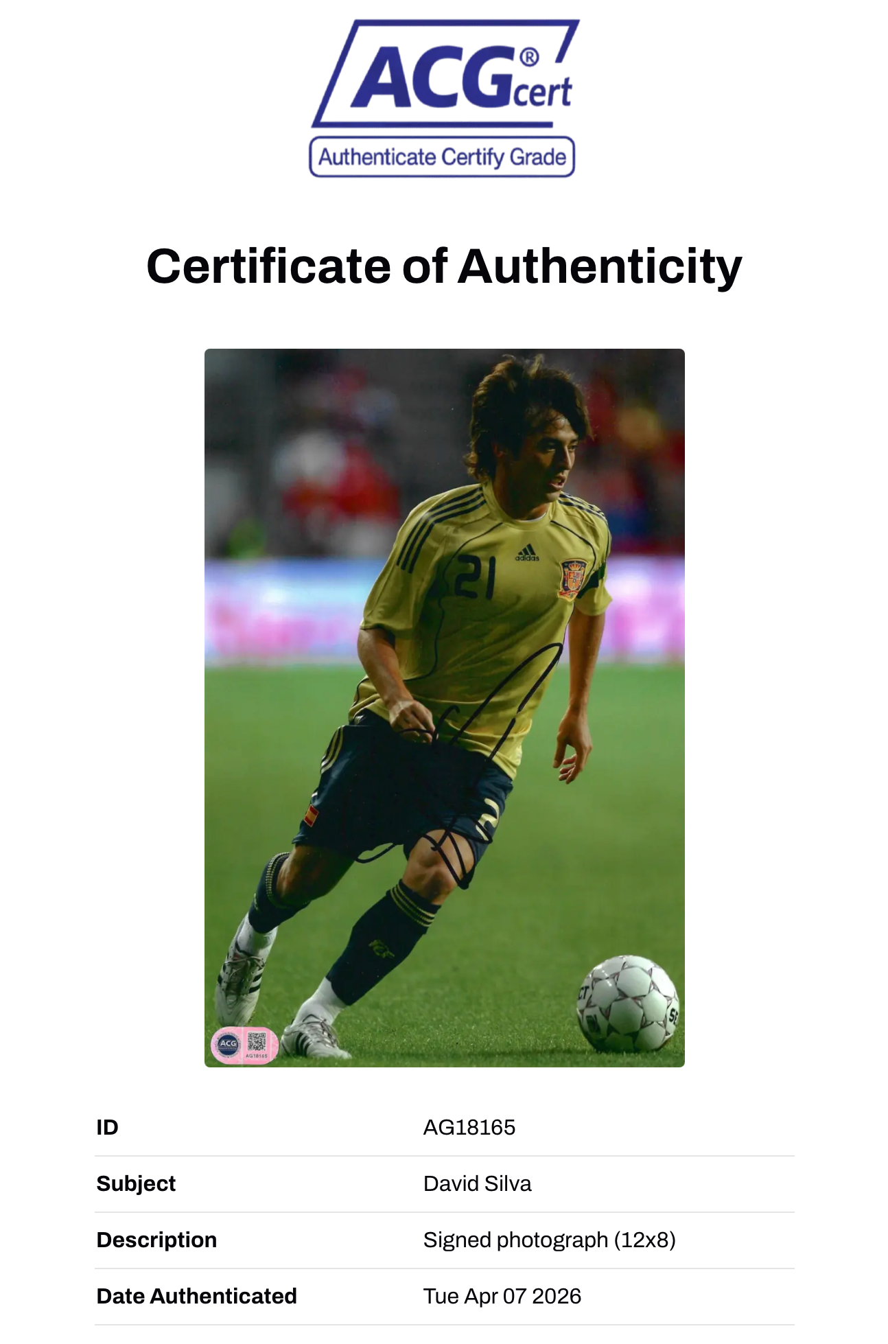 DAVID SILVA SIGNED MANCHESTER CITY SPAIN 12X8 PHOTOGRAPH (ACG CERT AG18165)