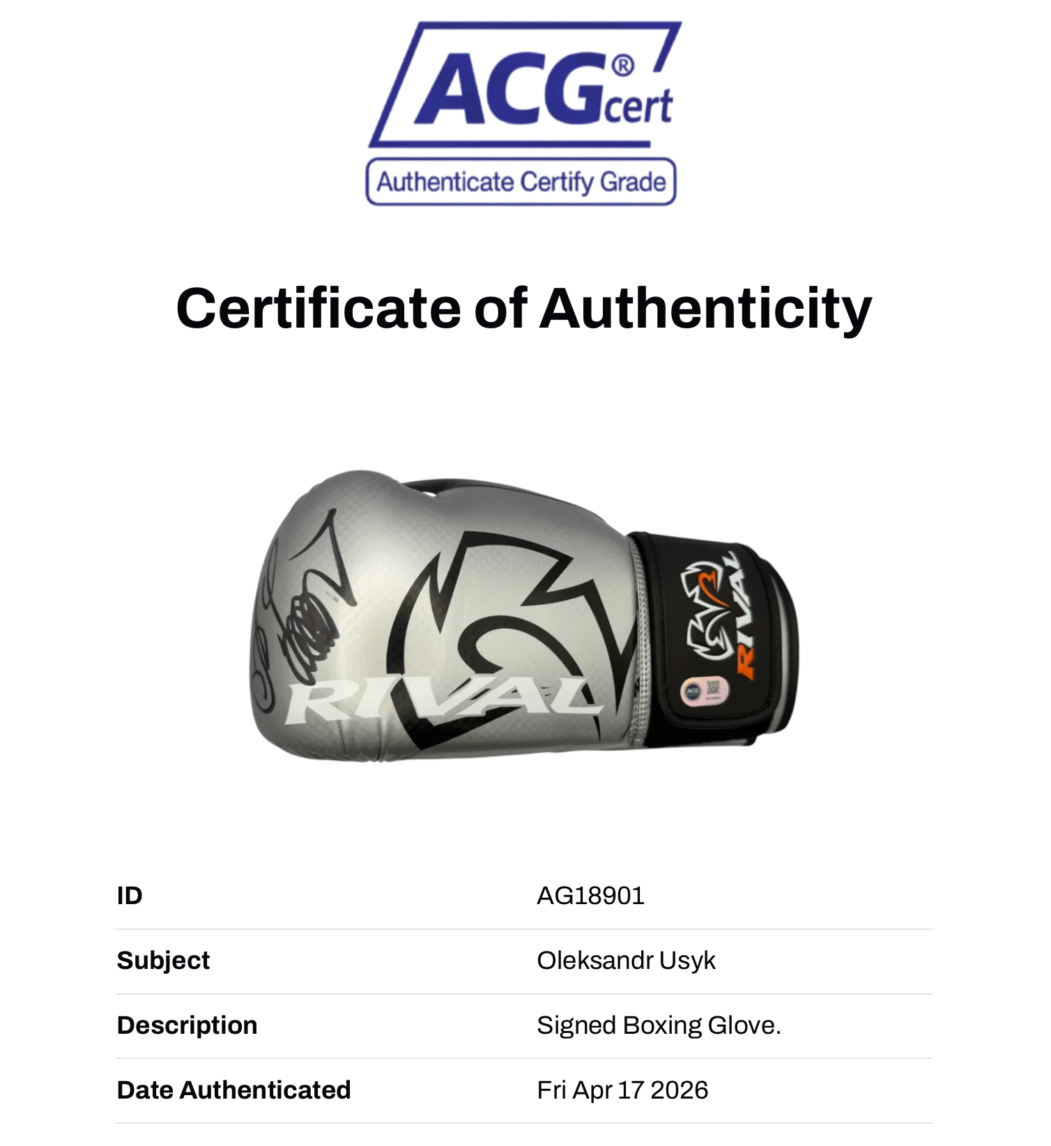 OLEKSANDR USYK SIGNED SILVER RIVAL BOXING GLOVE UNDISPUTED CHAMP (ACG CERT AG18901)
