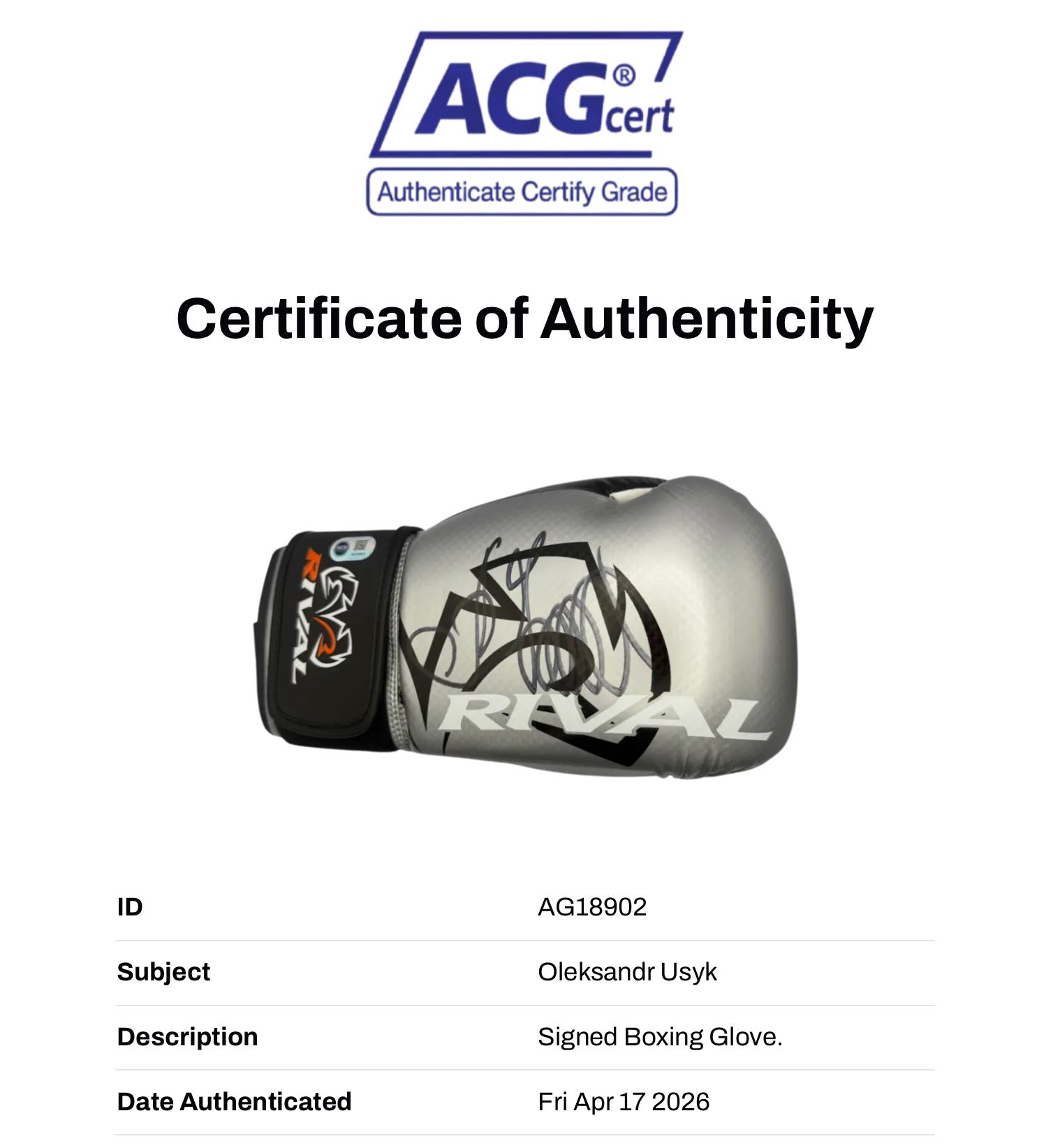OLEKSANDR USYK SIGNED SILVER RIVAL BOXING GLOVE UNDISPUTED CHAMP (ACG CERT AG18902)