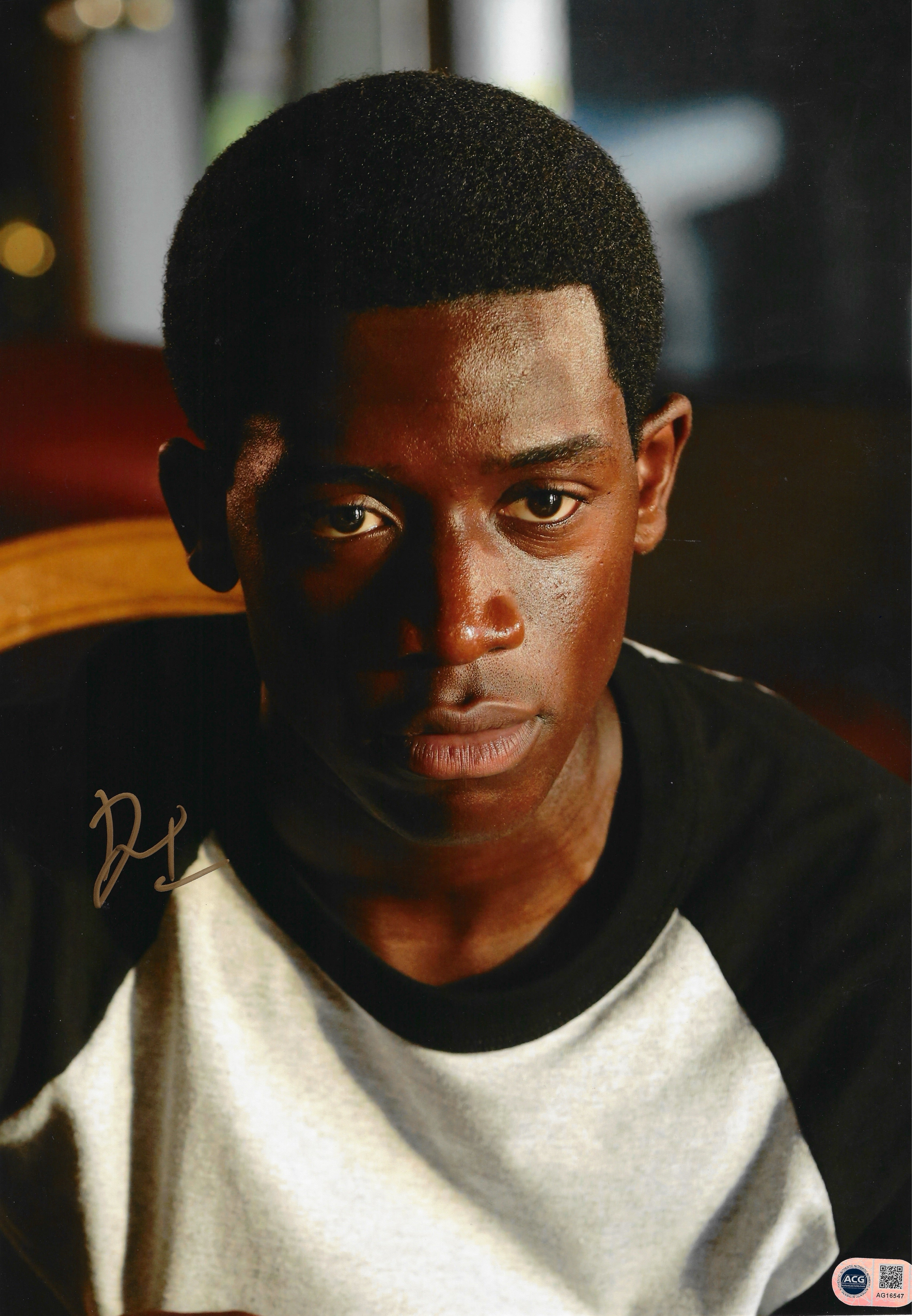DAMSON IDRIS SIGNED SNOWFALL 16x12 PHOTO (ACG CERT AG16547)