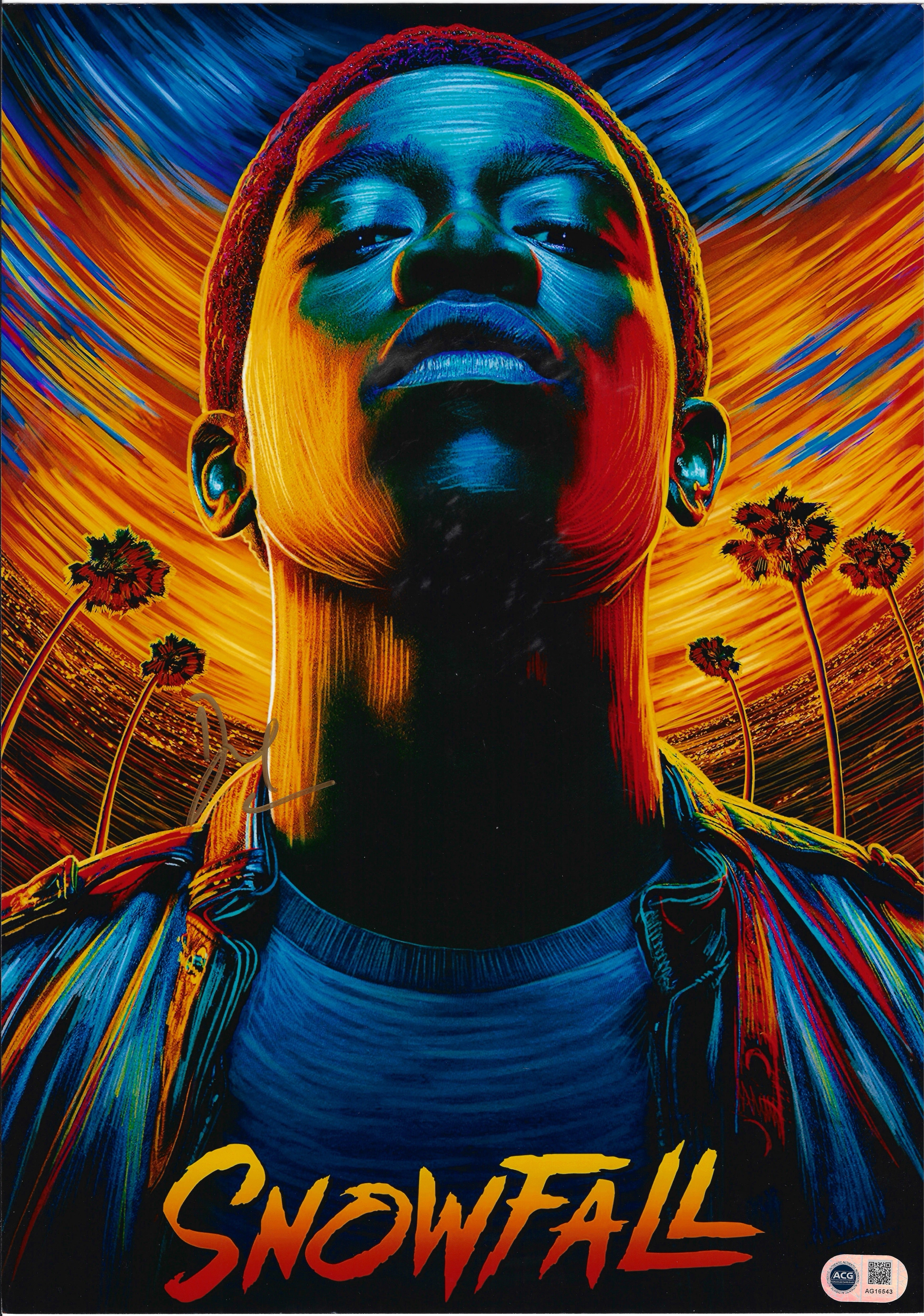 DAMSON IDRIS SIGNED SNOWFALL 16x12 PHOTO (ACG CERT AG16543)