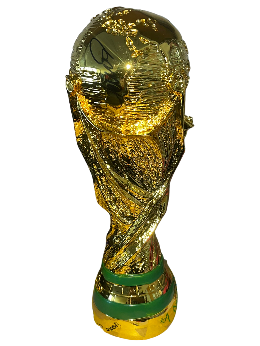 FERNANDO TORRES SIGNED MINI 27CM WORLD CUP REPLICA SPAIN 2010 (AFTAL COA)-1