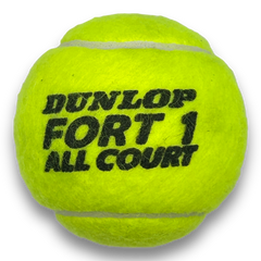 PAULA BADOSA SIGNED DUNLOP FORT 1 TENNIS BALL (ACG CERT)-2