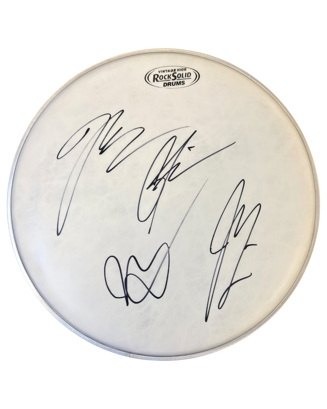 KINGS OF LEON BAND SIGNED 12" DRUMSKIN (ACG CERT AG18045)-1