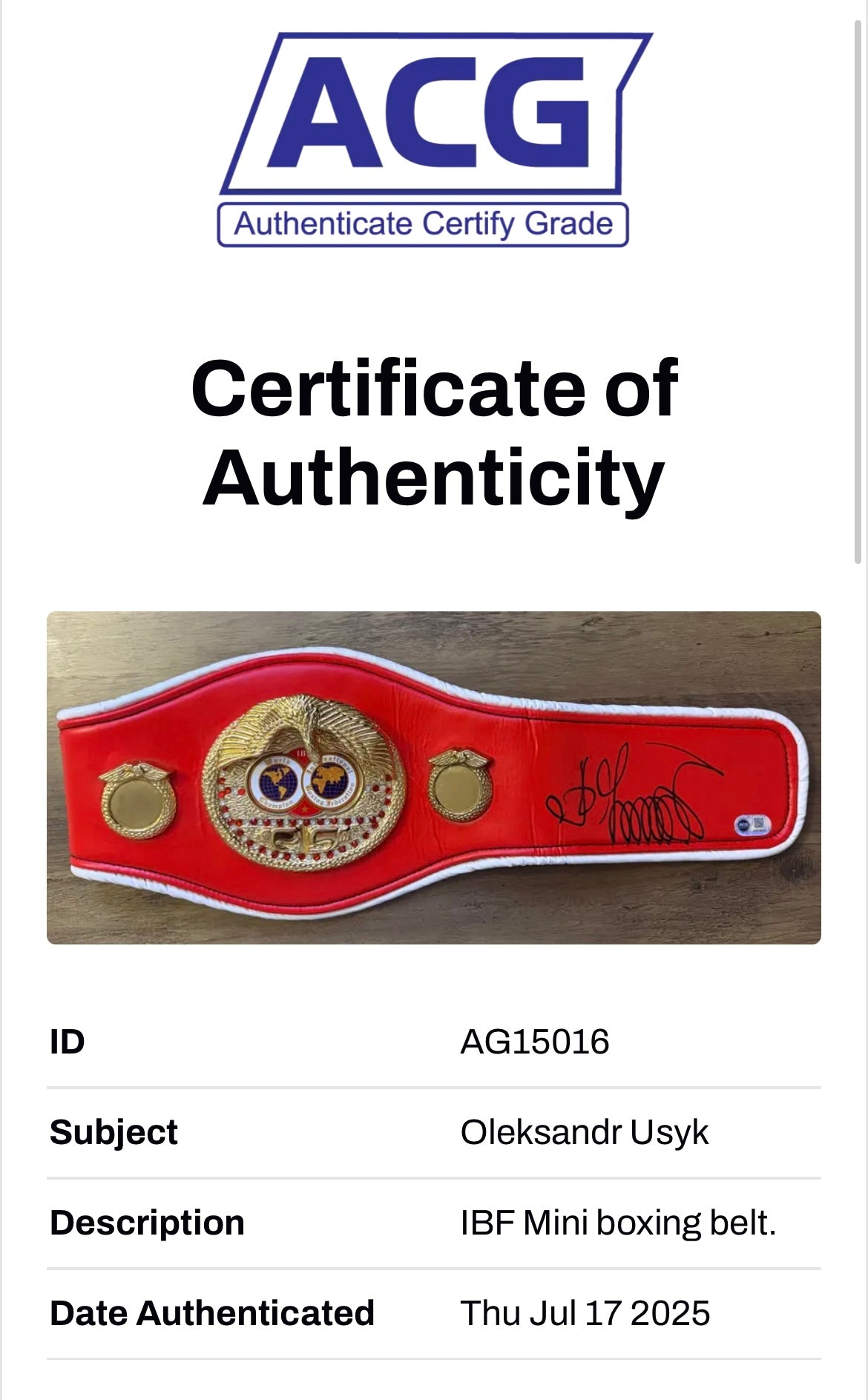 OLEKSANDR USYK SIGNED IBF MID SIZE BELT UNDISPUTED CHAMP (ACG CERT AG15016)