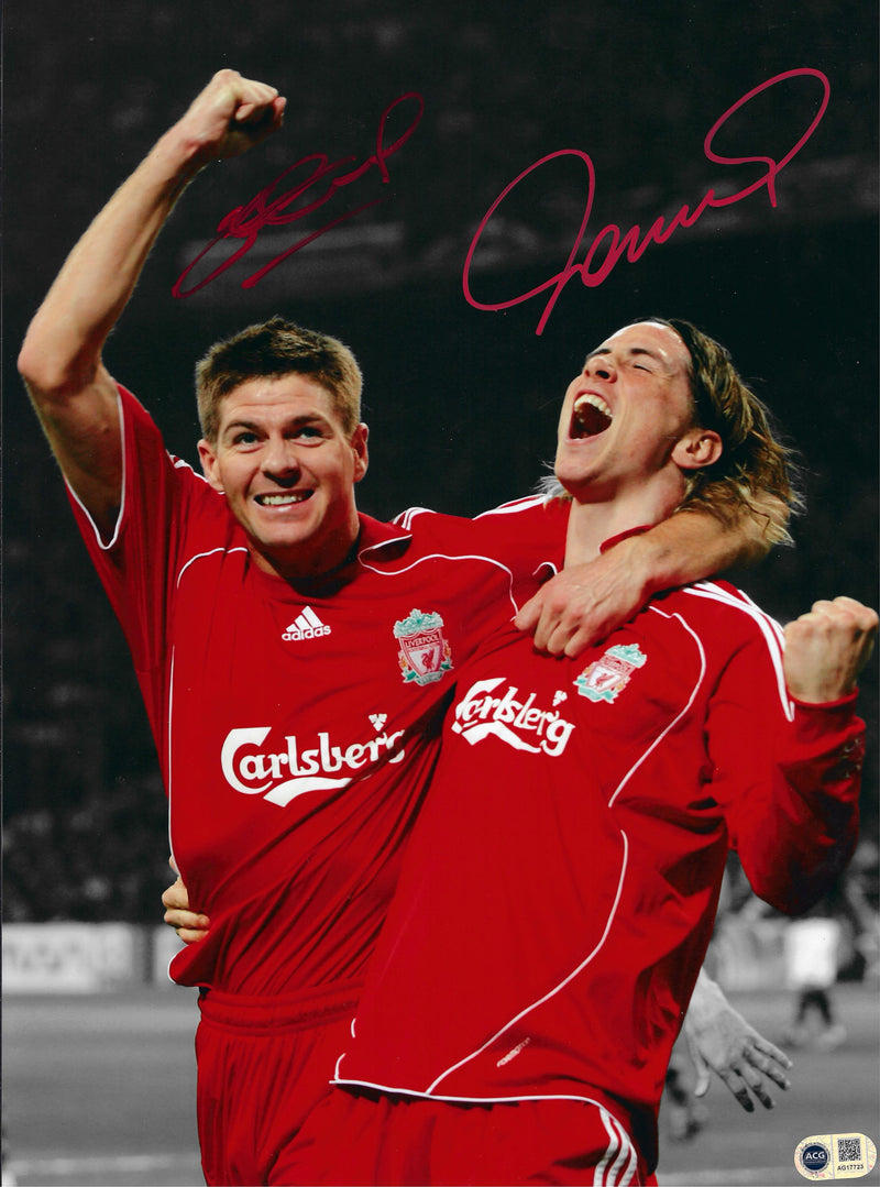 STEVEN GERRARD & FERNANDO TORRES SIGNED LIVERPOOL FC 16x12 PHOTO (ACG CERT AG17723)-1