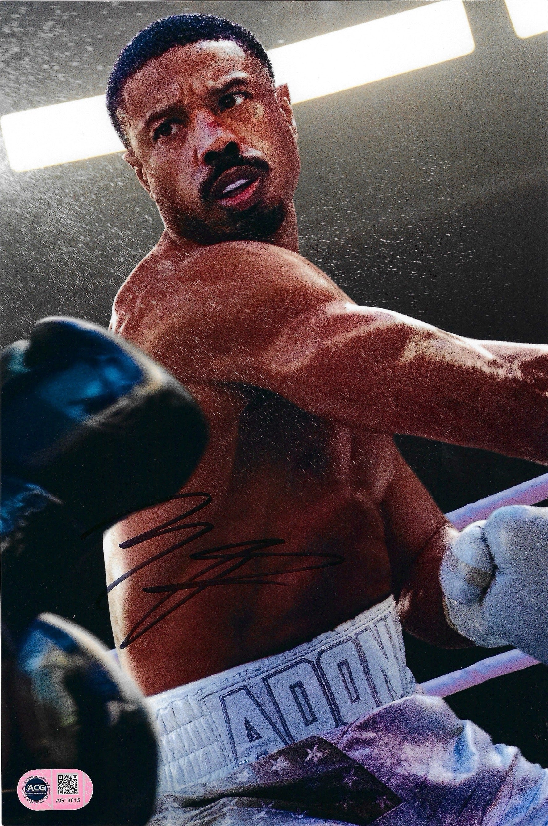 MICHAEL B JORDAN SIGNED ADONIS CREED 12X8 PHOTO (ACG CERT AG18815)
