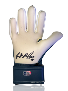 GIANLUIGI BUFFON SIGNED PUMA NAVY GOALKEEPER GLOVE (ACG CERT AG16538)-1