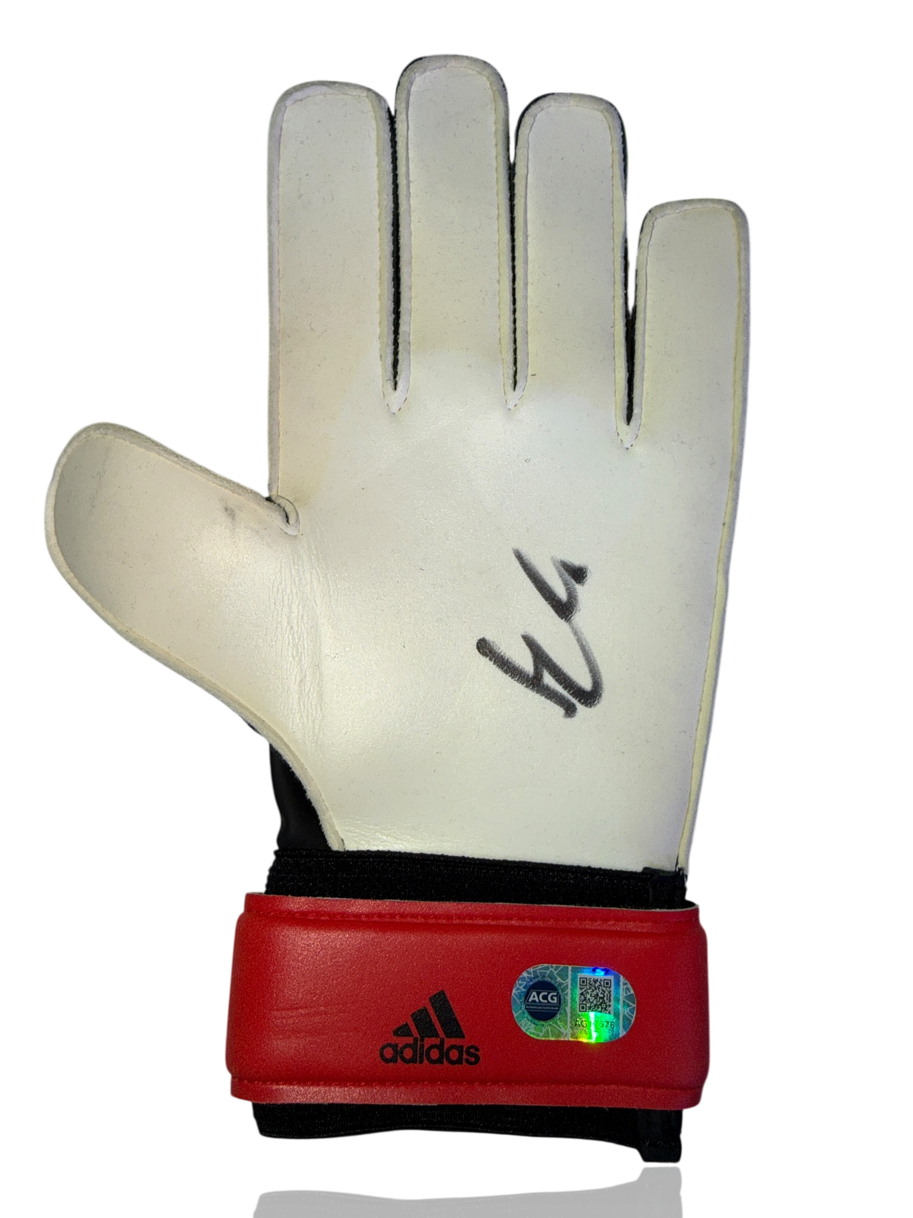 HUGO LLORIS SIGNED TOTTENHAM HOTSPUR GOALKEEPER GLOVE (ACG CERT AG17576)