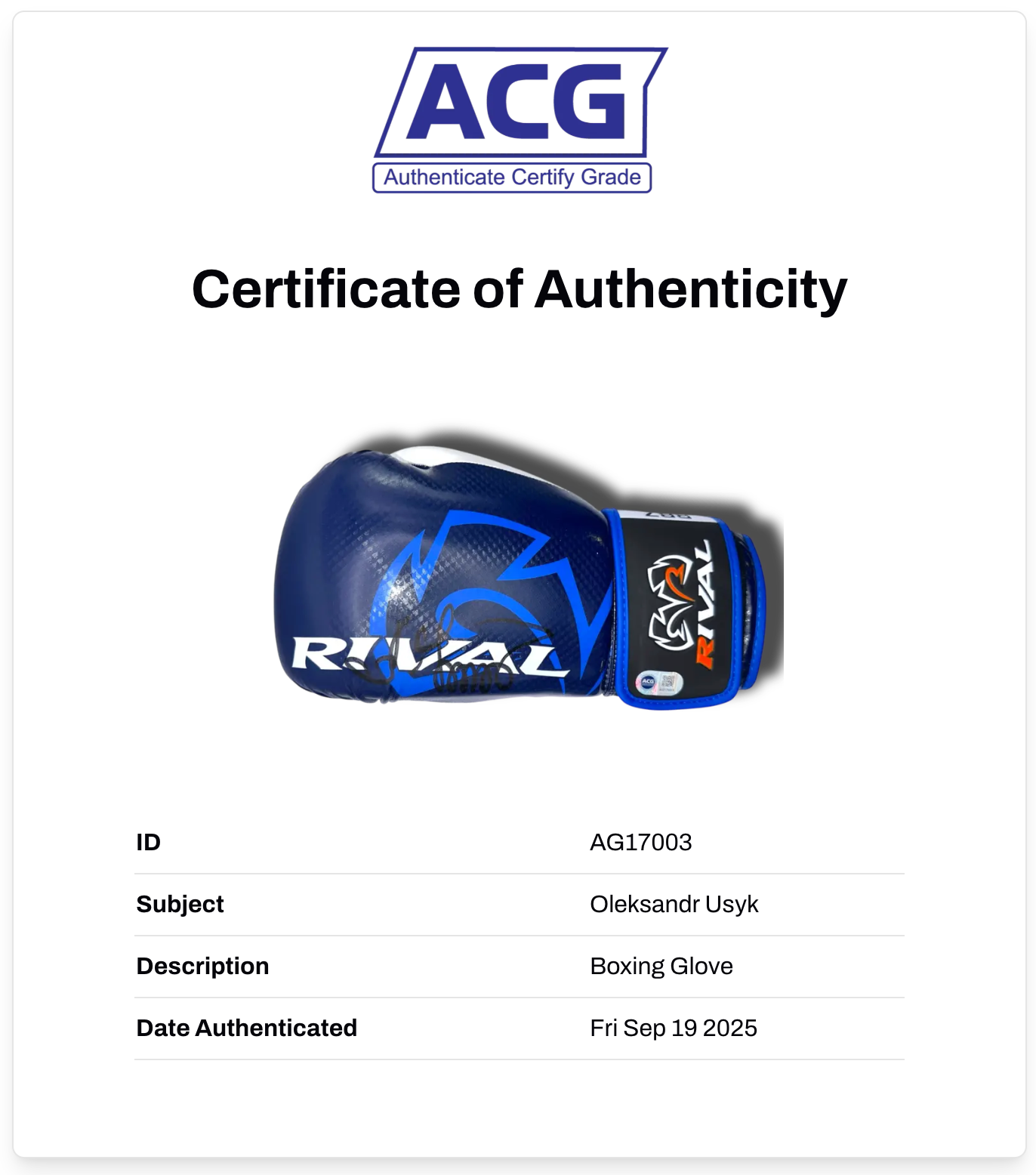 OLEKSANDR USYK SIGNED RIVAL BLUE BOXING GLOVE UNDISPUTED CHAMP (ACG CERT AG17003)