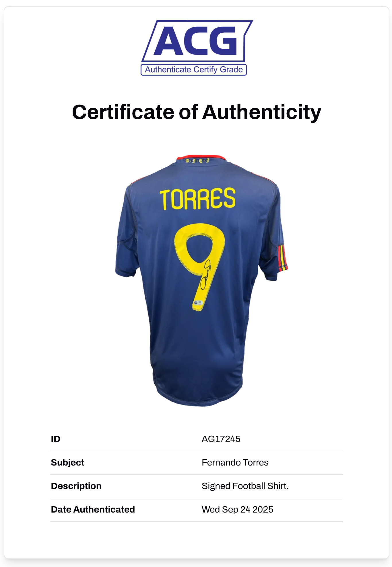 FERNANDO TORRES SIGNED SPAIN 2010 WORLD CUP WINNERS SHIRT (ACG CERT AG17245)