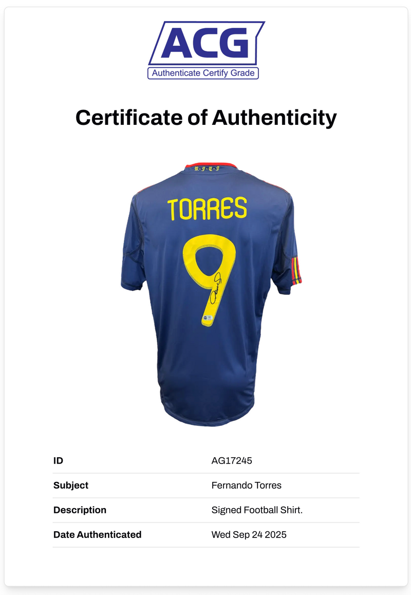 FERNANDO TORRES SIGNED SPAIN 2010 WORLD CUP WINNERS SHIRT (ACG CERT AG17245)-2