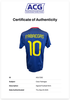 CESC FABREGAS SIGNED SPAIN WORLD CUP WIN 2010 AWAY SHIRT (ACG CERT AG17282)-2