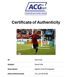 DAVID VILLA SIGNED SPAIN EURO 2008 12X8 PHOTO (ACG CERT AG17152)-2
