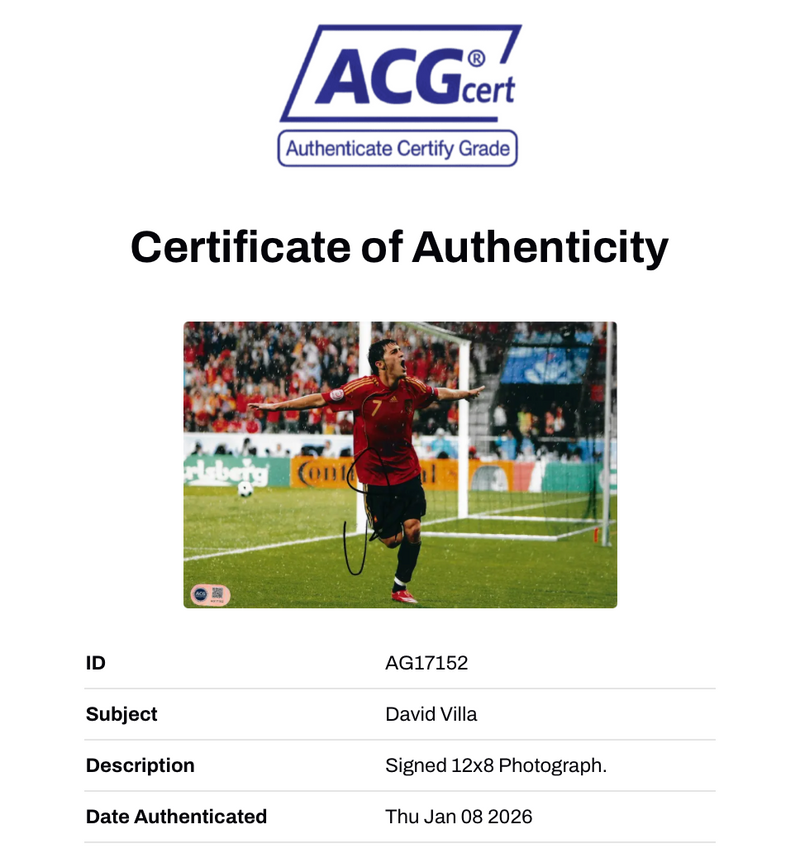 DAVID VILLA SIGNED SPAIN EURO 2008 12X8 PHOTO (ACG CERT AG17152)-2