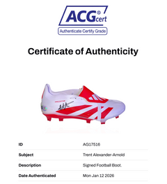 TRENT ALEXANDER-ARNOLD SIGNED ADIDAS PREDATOR FOOTBALL BOOT (ACG CERT AG17516)-2