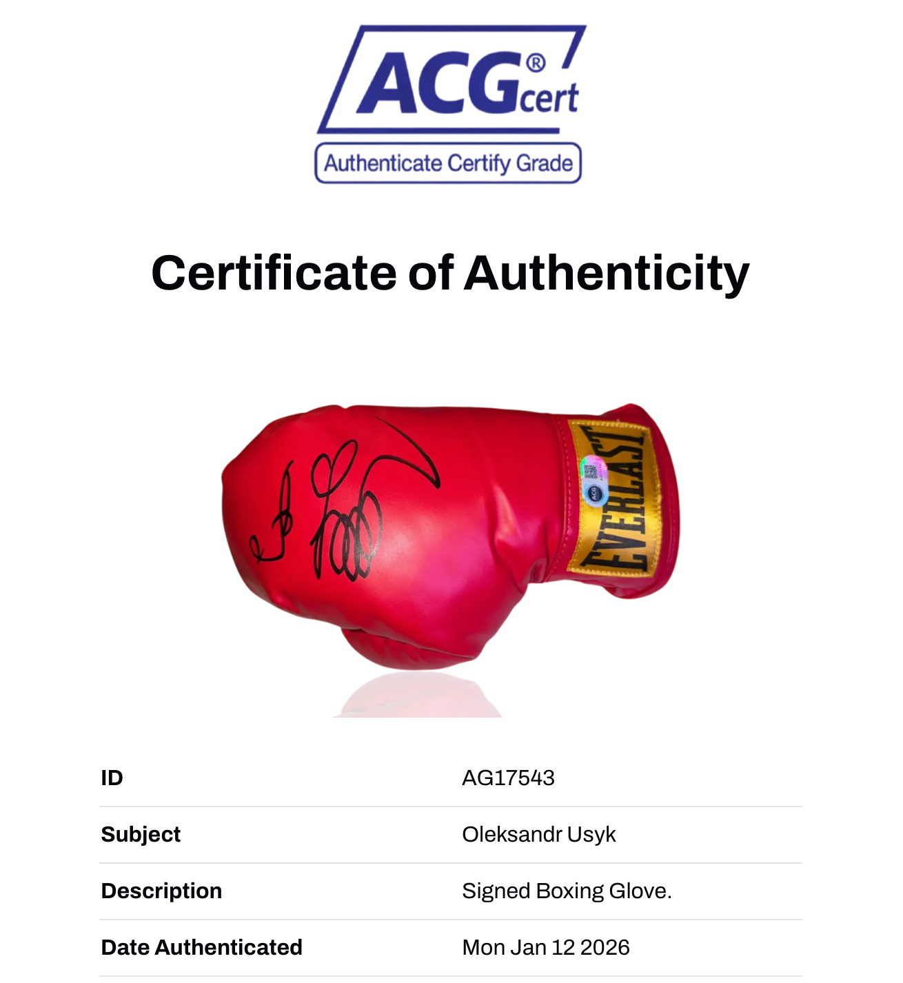 OLEKSANDR USYK SIGNED RED EVERLAST MID BOXING GLOVE (ACG CERT AG17543)-2