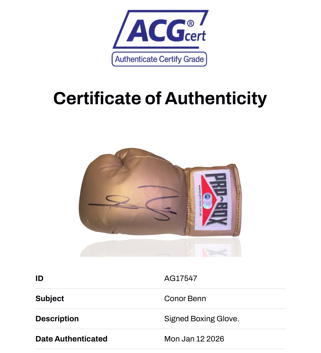 CONOR BENN SIGNED GOLD PRO BOX AUTOGRAPH BOXING GLOVE (ACG CERT AG17547)