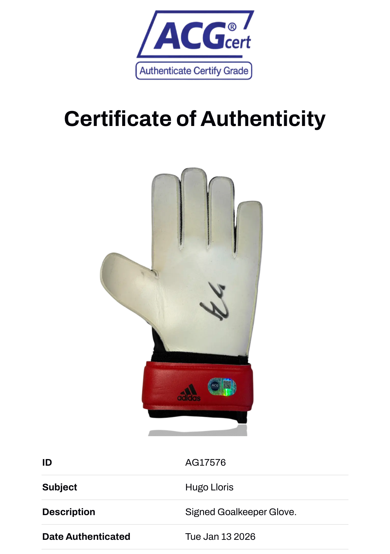 HUGO LLORIS SIGNED TOTTENHAM HOTSPUR GOALKEEPER GLOVE (ACG CERT AG17576)
