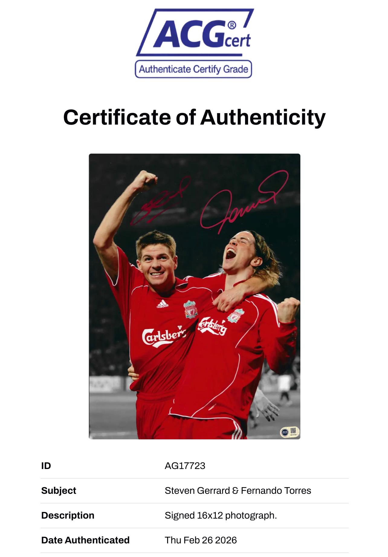 STEVEN GERRARD & FERNANDO TORRES SIGNED LIVERPOOL FC 16x12 PHOTO (ACG CERT AG17723)-2