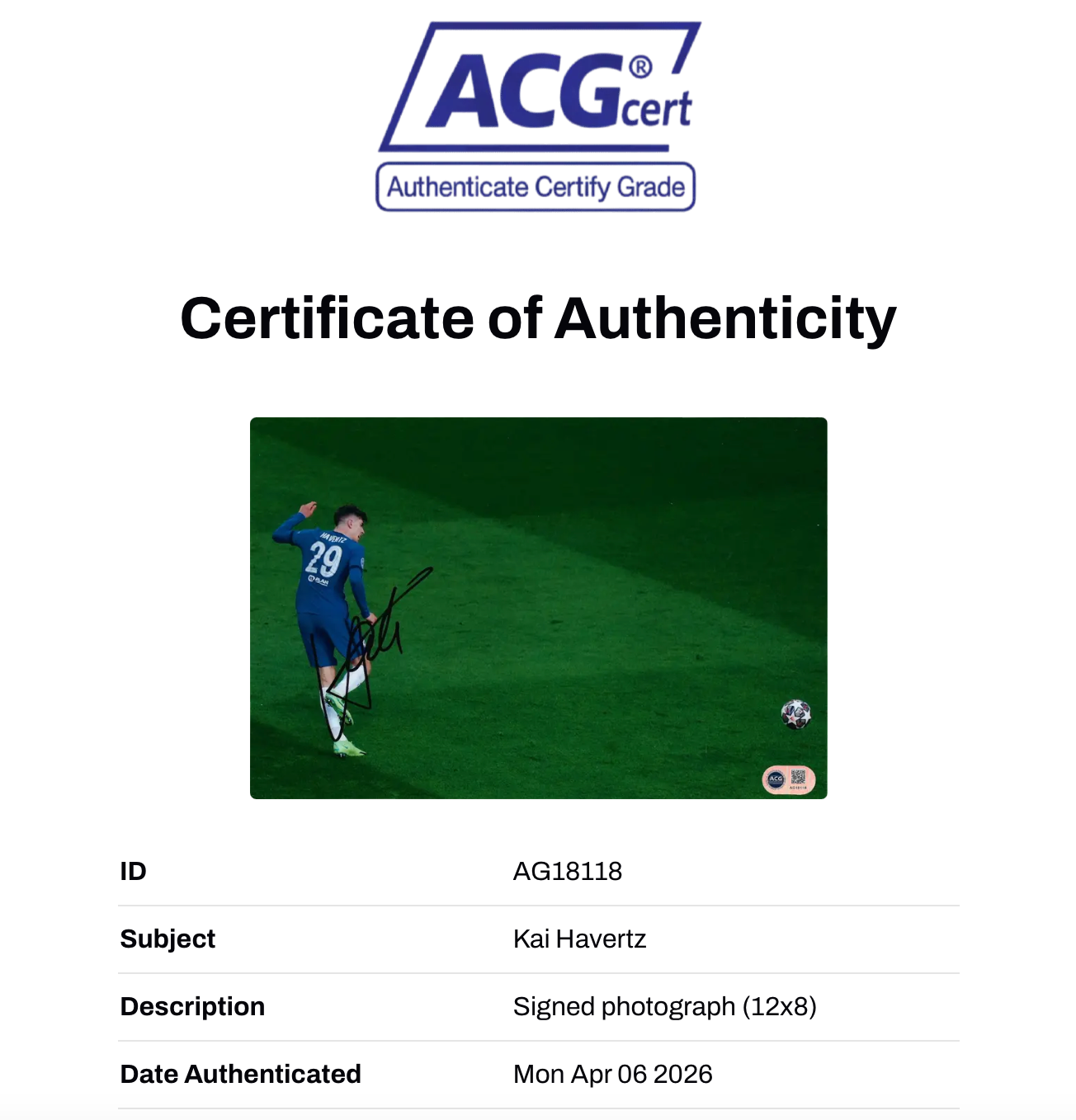 KAI HAVERTZ SIGNED 12X8 CHELSEA FC UCL 2021 WINNERS PHOTO (ACG CERT AG18118)-2