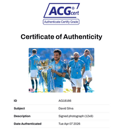 DAVID SILVA SIGNED MANCHESTER CITY CHAMPIONS 12X8 PHOTO (ACG CERT AG18166)-2