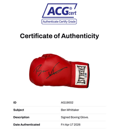 BEN WHITTAKER THE SURGEON SIGNED RED EVERLAST BOXING GLOVE (ACG CERT AG19002)-3