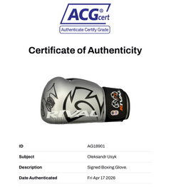 OLEKSANDR USYK SIGNED SILVER RIVAL BOXING GLOVE UNDISPUTED CHAMP (ACG CERT AG18901)-4