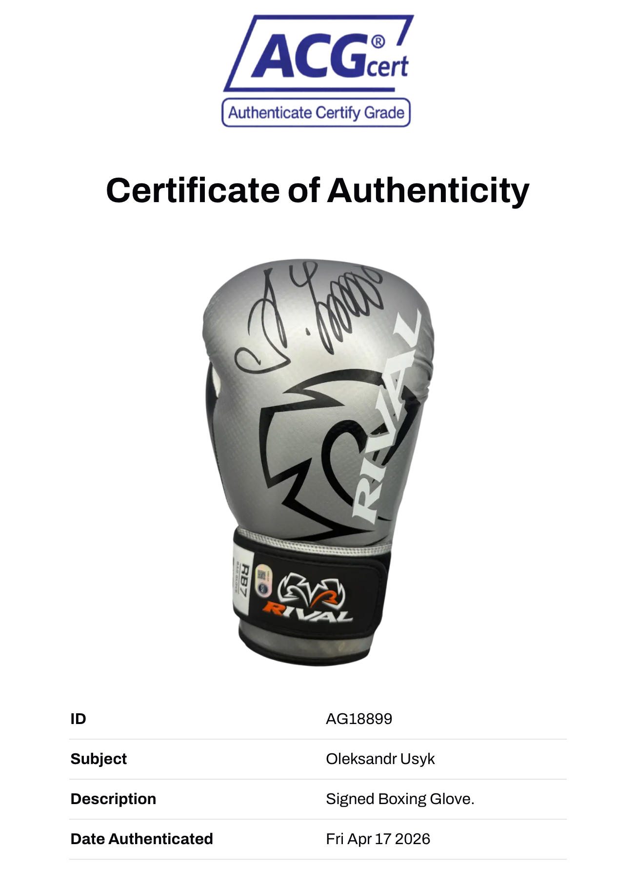 OLEKSANDR USYK SIGNED SILVER RIVAL BOXING GLOVE UNDISPUTED CHAMP (ACG CERT AG18899)