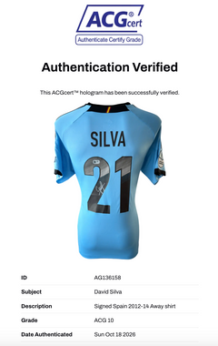 DAVID SILVA SIGNED SPAIN 2012/14 EURO 2012 AWAY SHIRT (ACG CERT AG136158)-3