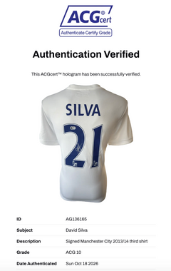 DAVID SILVA SIGNED MANCHESTER CITY 2013/14 THIRD SHIRT (ACG CERT AG136165)-3