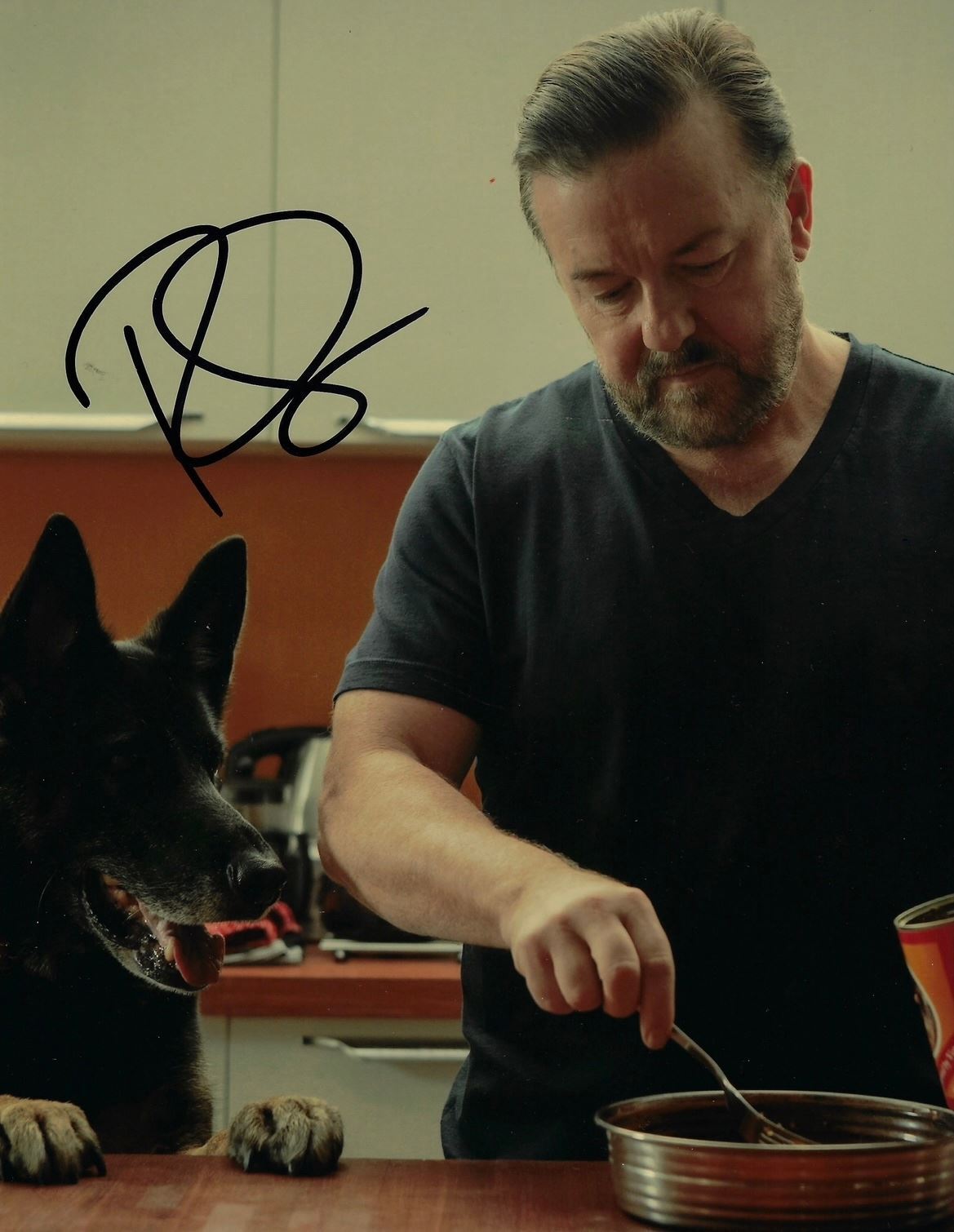 RICKY GERVAIS SIGNED AFTER LIFE 12x8 PHOTOGRAPH 2 (AFTAL COA)